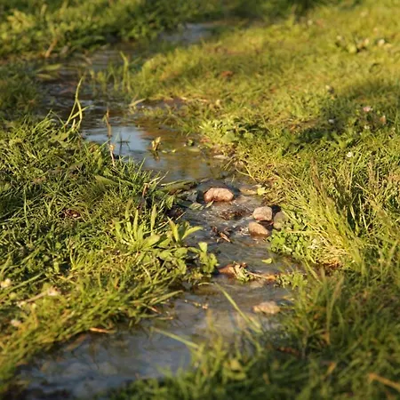 Grosse / Haushaelfte In Peetzig Am Apartamento *