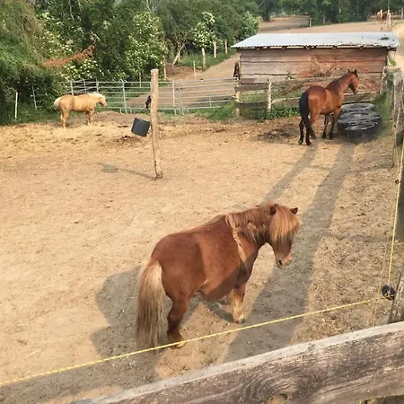 Daire Grosse / Haushaelfte In Peetzig Am Angermunde