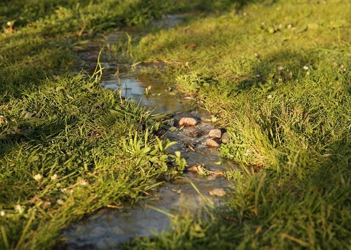 Grosse / Haushaelfte In Peetzig Am شقة *