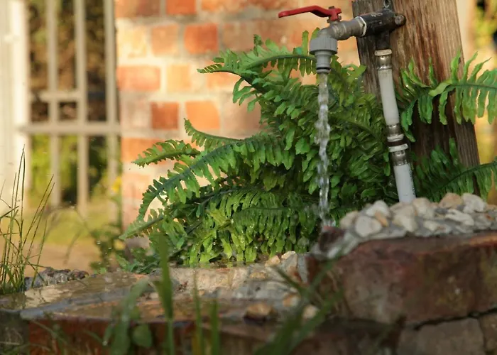 Grosse / Haushaelfte In Peetzig Am شقة *