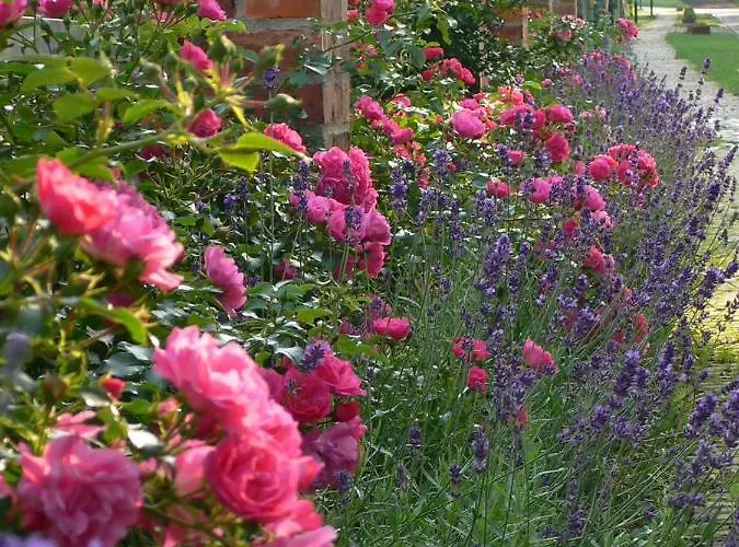 شقة Grosse / Haushaelfte In Peetzig Am *