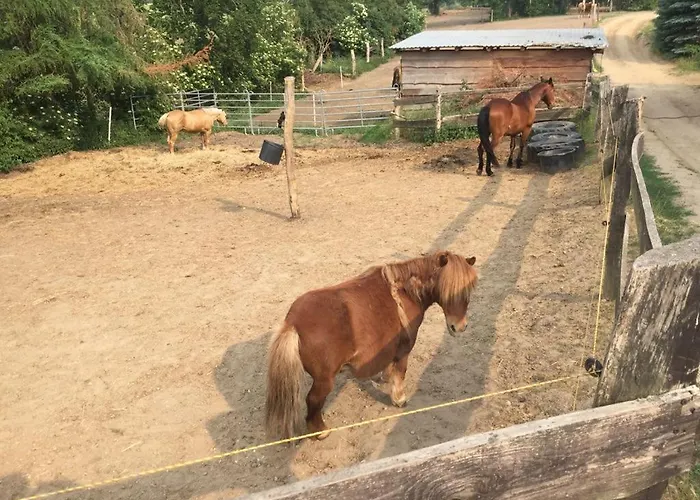 Apartamento Grosse / Haushaelfte In Peetzig Am Angermunde